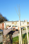 obr�zek fotogalerie