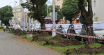 Nov� stromy v Masarykov� ulici? V�sadbu ak�t� zastavily s��ov� kabely v zemi, ke kter�m se zat�m nikdo nehl�s�
