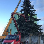 obr�zek fotogalerie