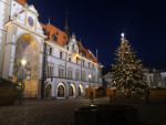obr�zek fotogalerie